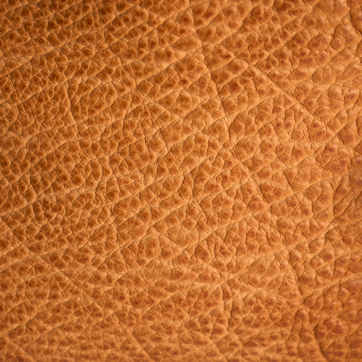 No.935 CEO MESSENGER | LE HORWEEN BISON (NEW)