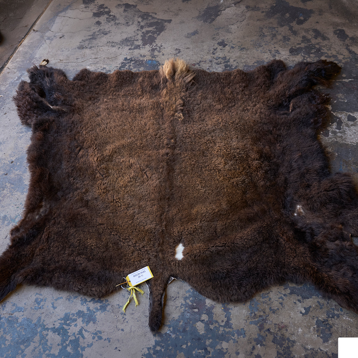 American Bison Rug | Grade-A