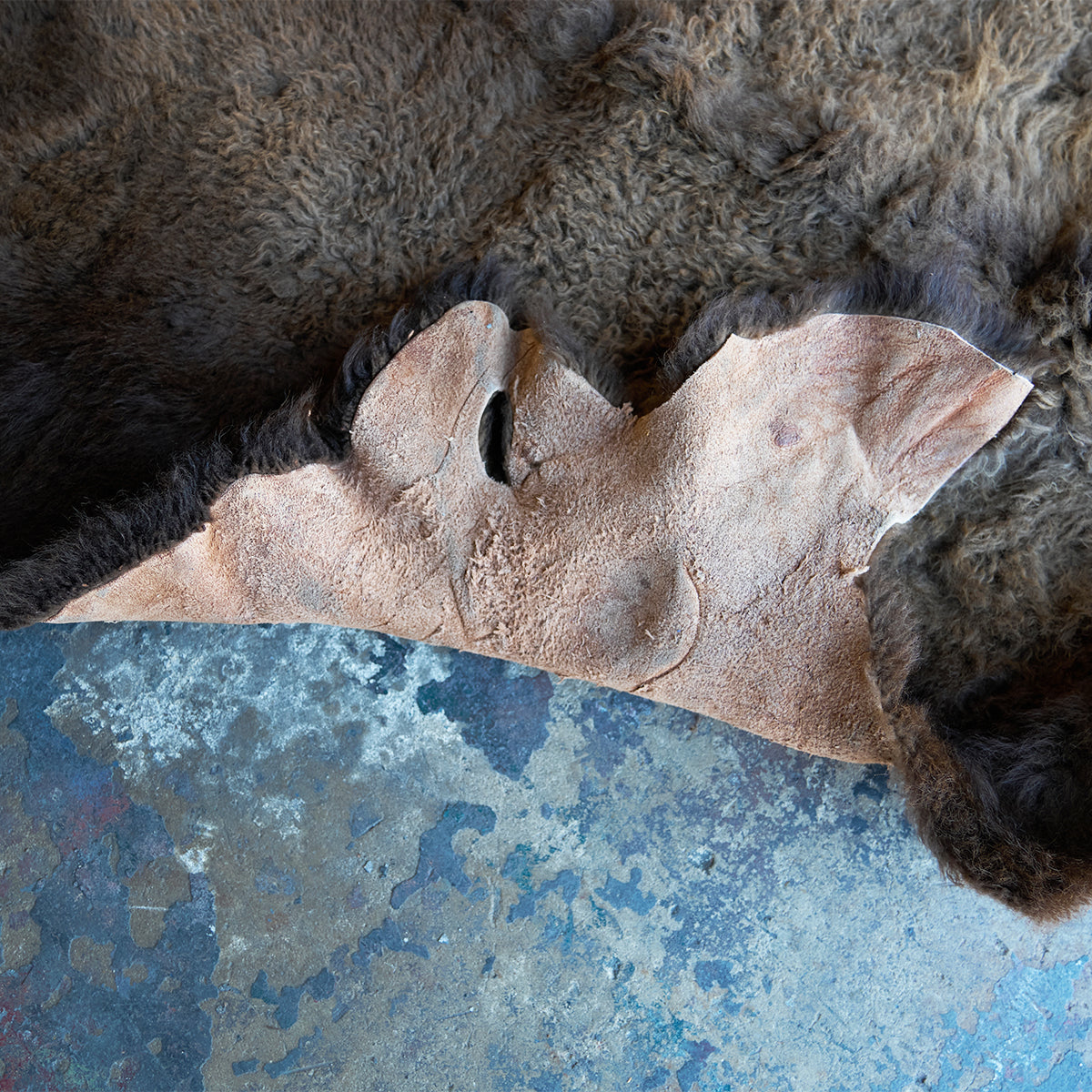 American Bison Rug