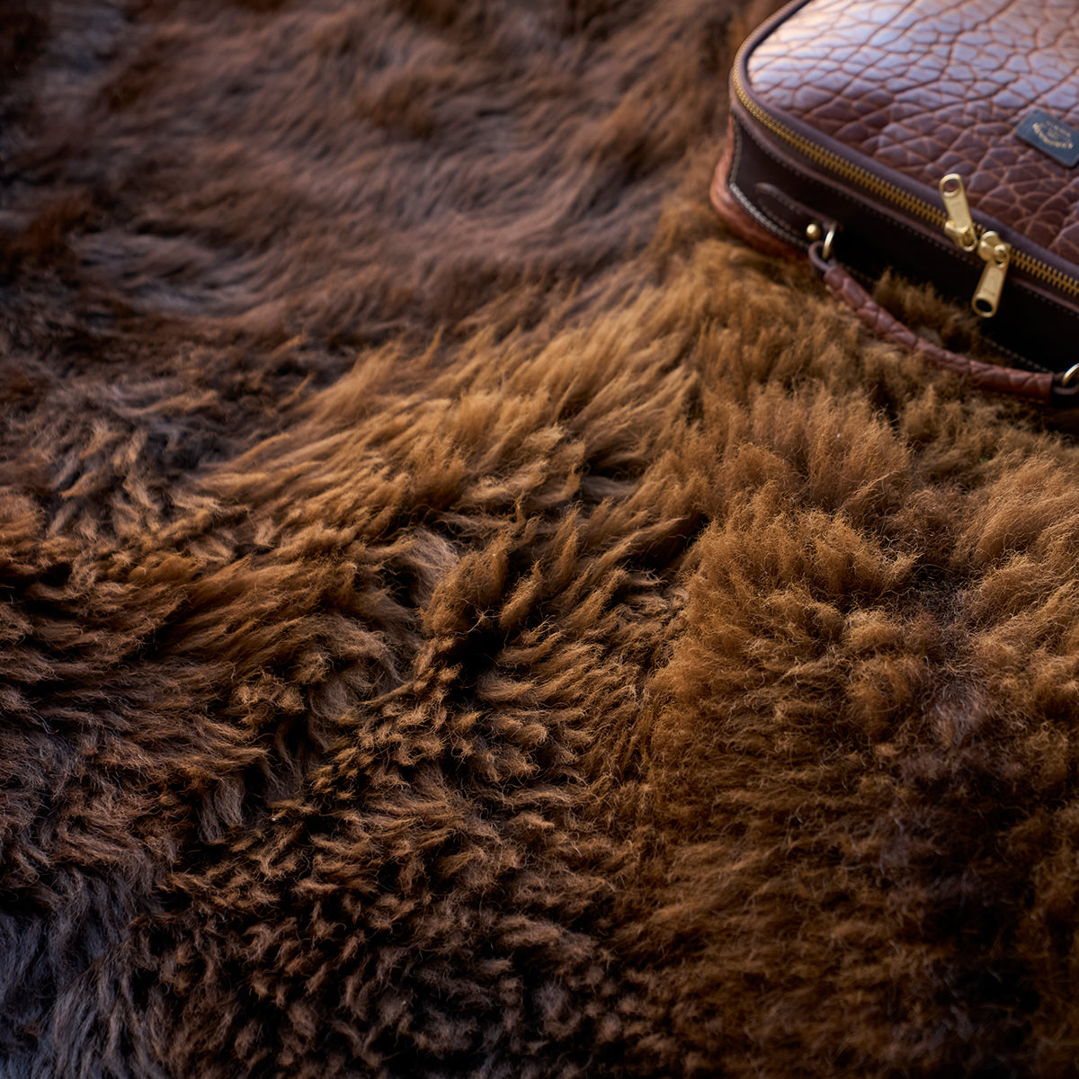 American Bison Rug | Grade-A Han