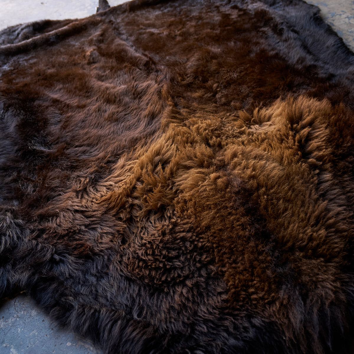 American Bison Rug | Grade-A Han