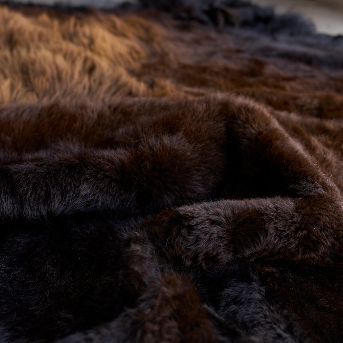 American Bison Rug | Grade-A Han