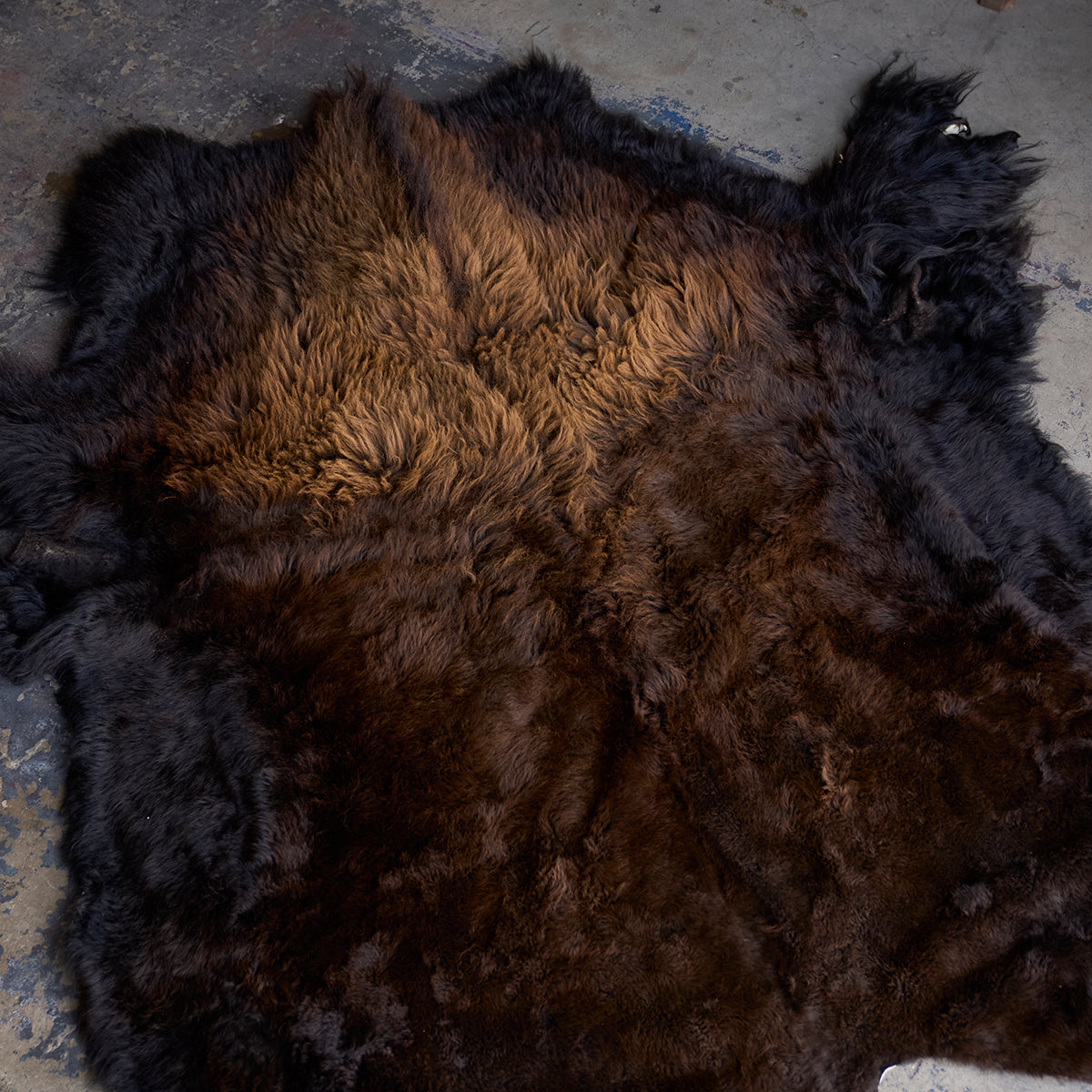 American Bison Rug | Grade-A Han