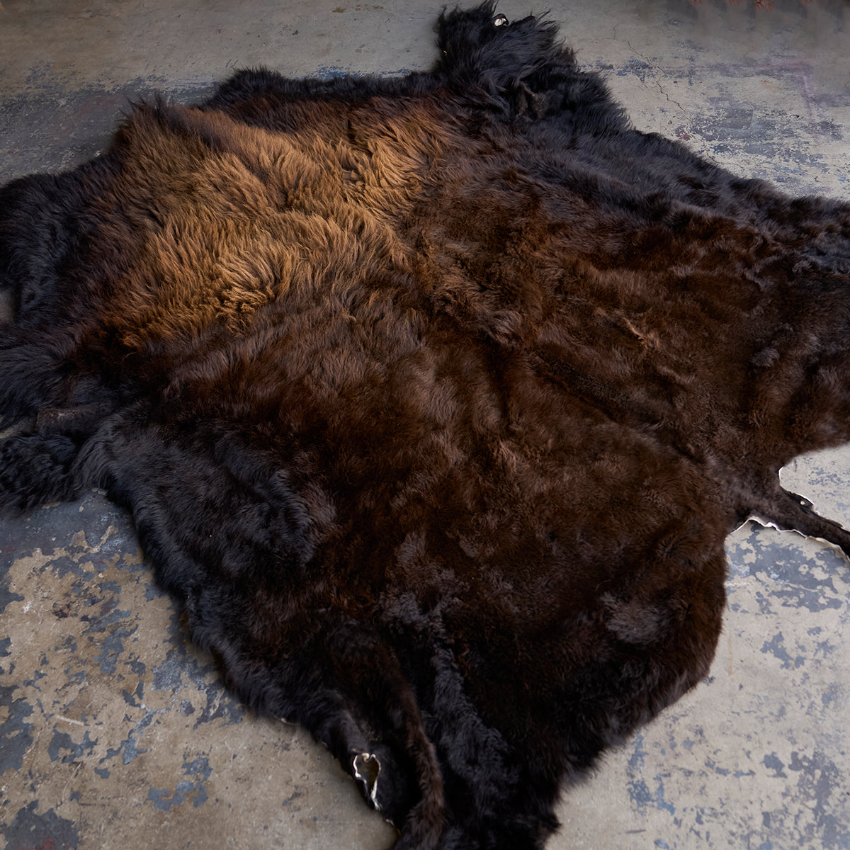 American Bison Rug | Grade-A Han