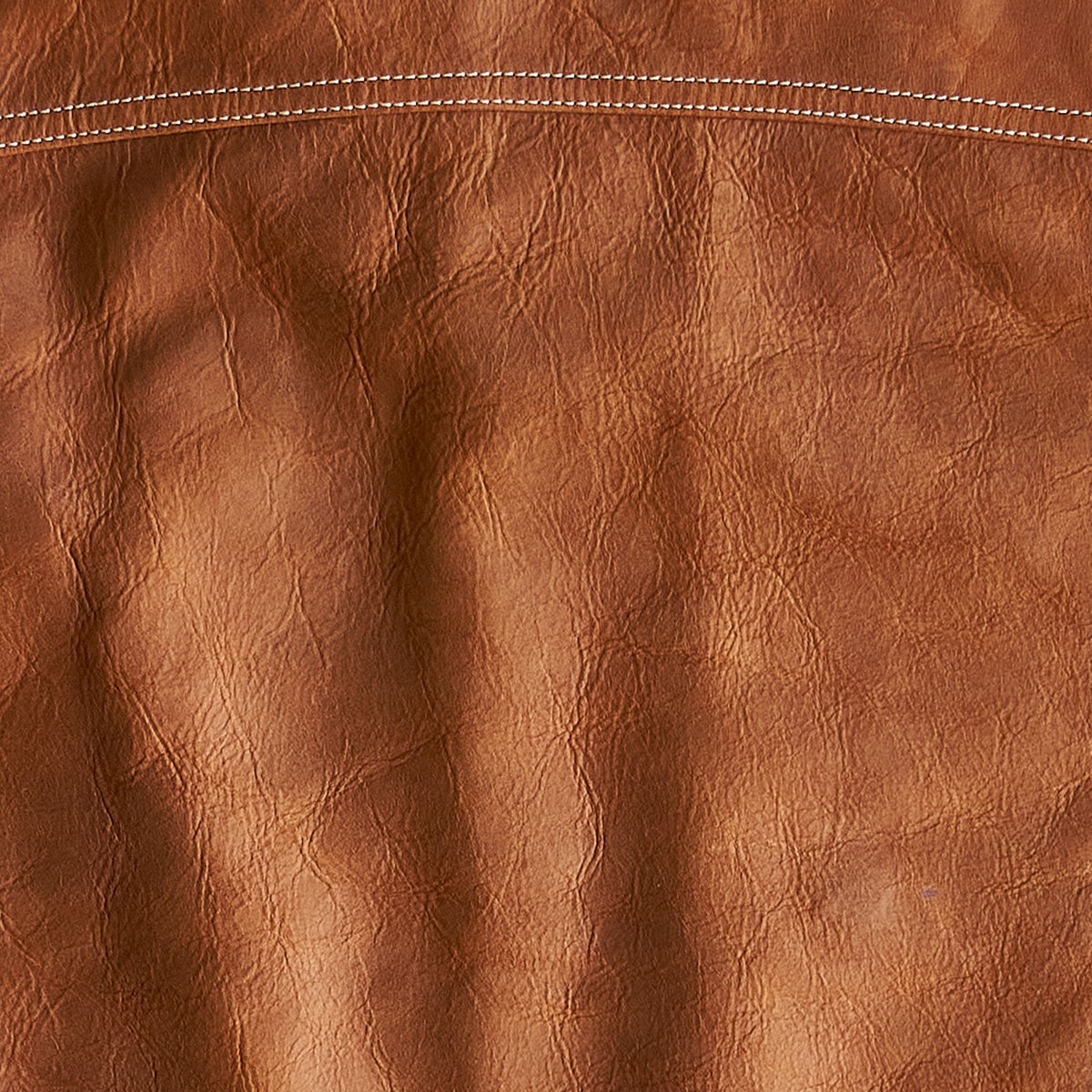 No.210 Indy Bison Dean | Rust