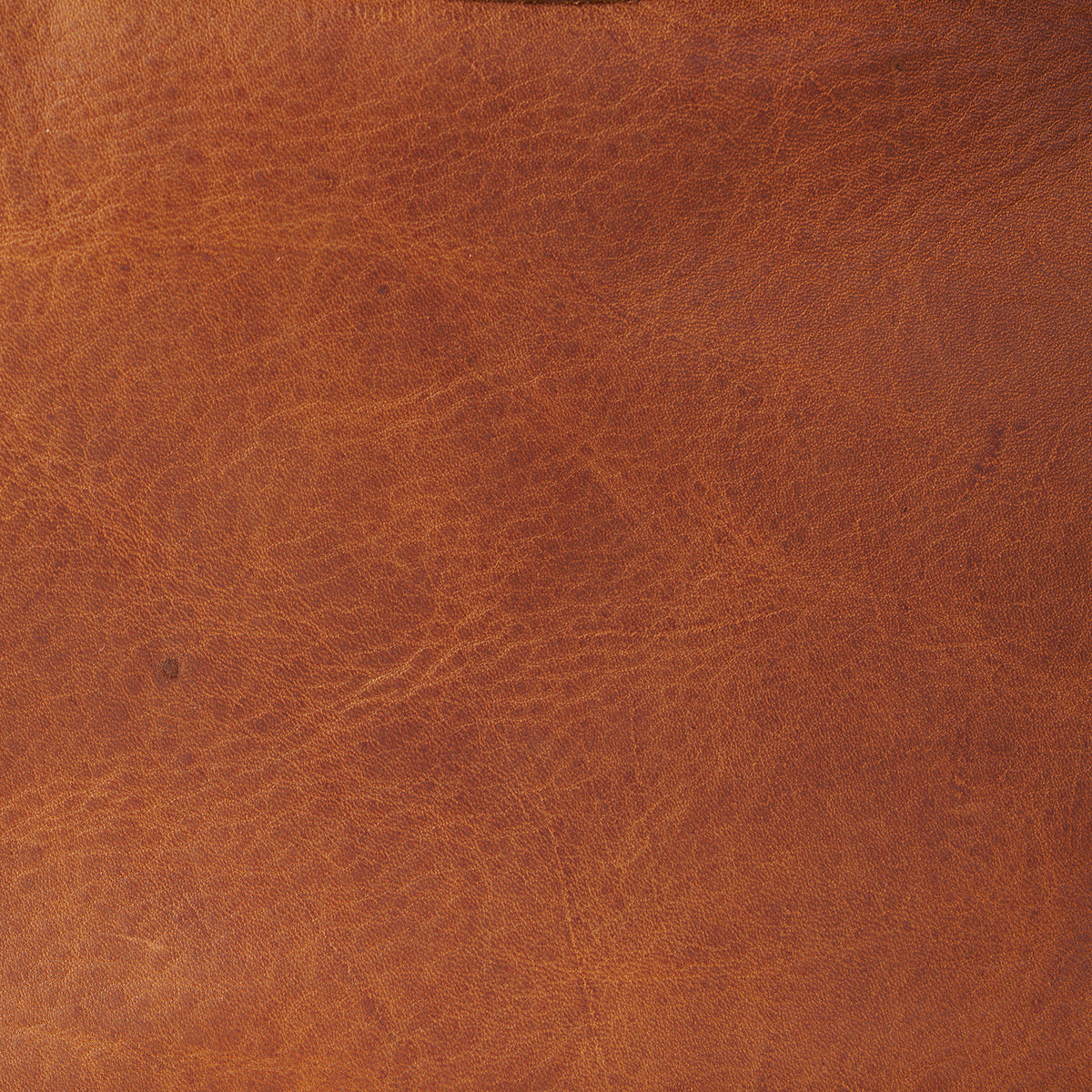 Jackie Hobo No.2 | Horween® Saddle