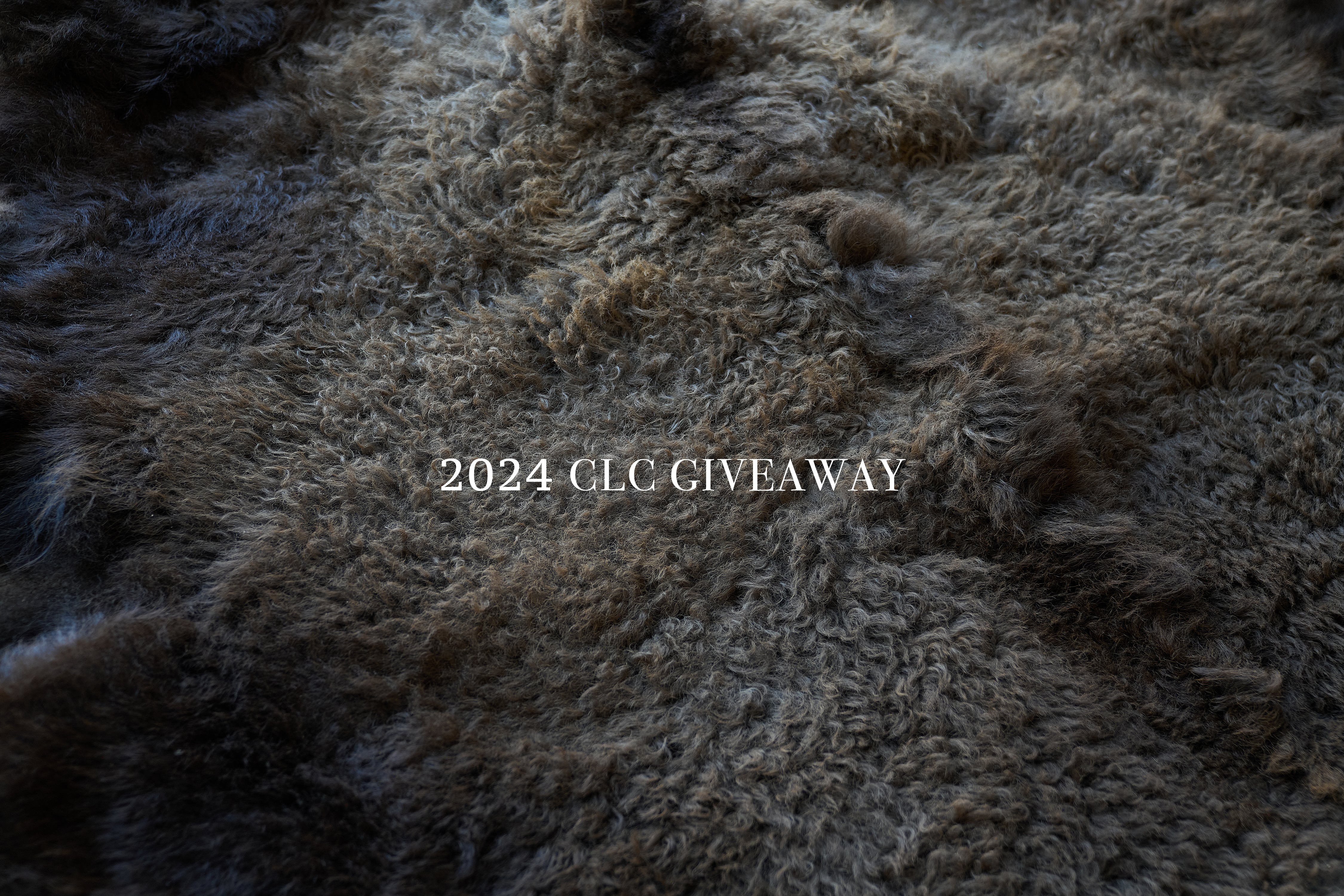 ENTER TO WIN AN AMERICAN BISON RUG