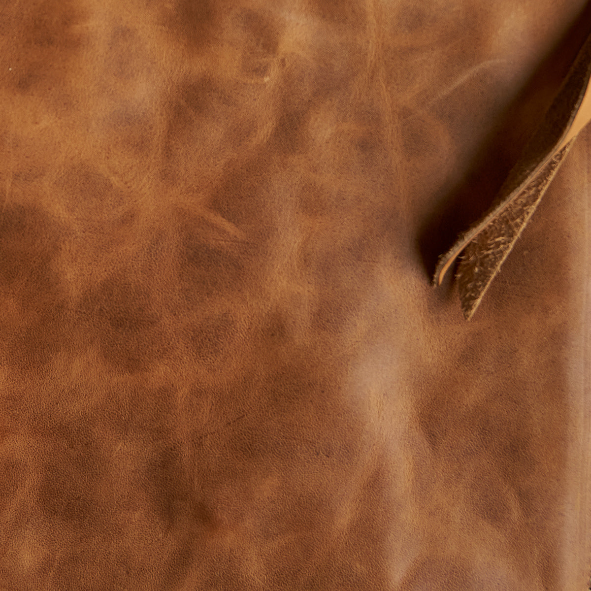 Horween® Horsehide Jacket No. 65 | Tan