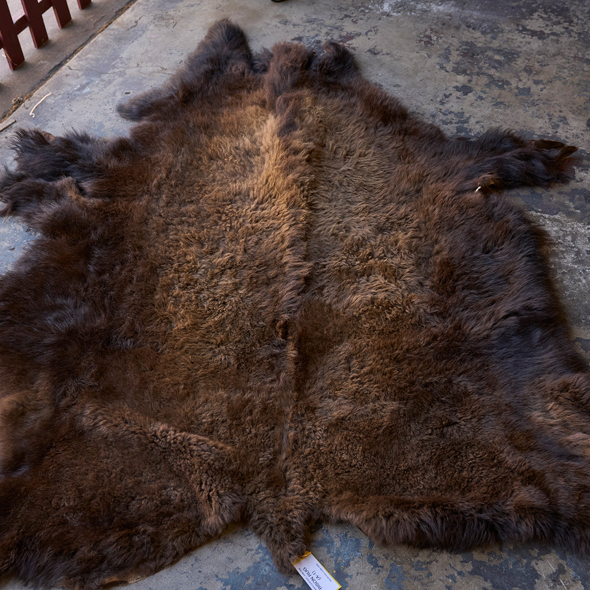 American Bison Rug | Grade-A