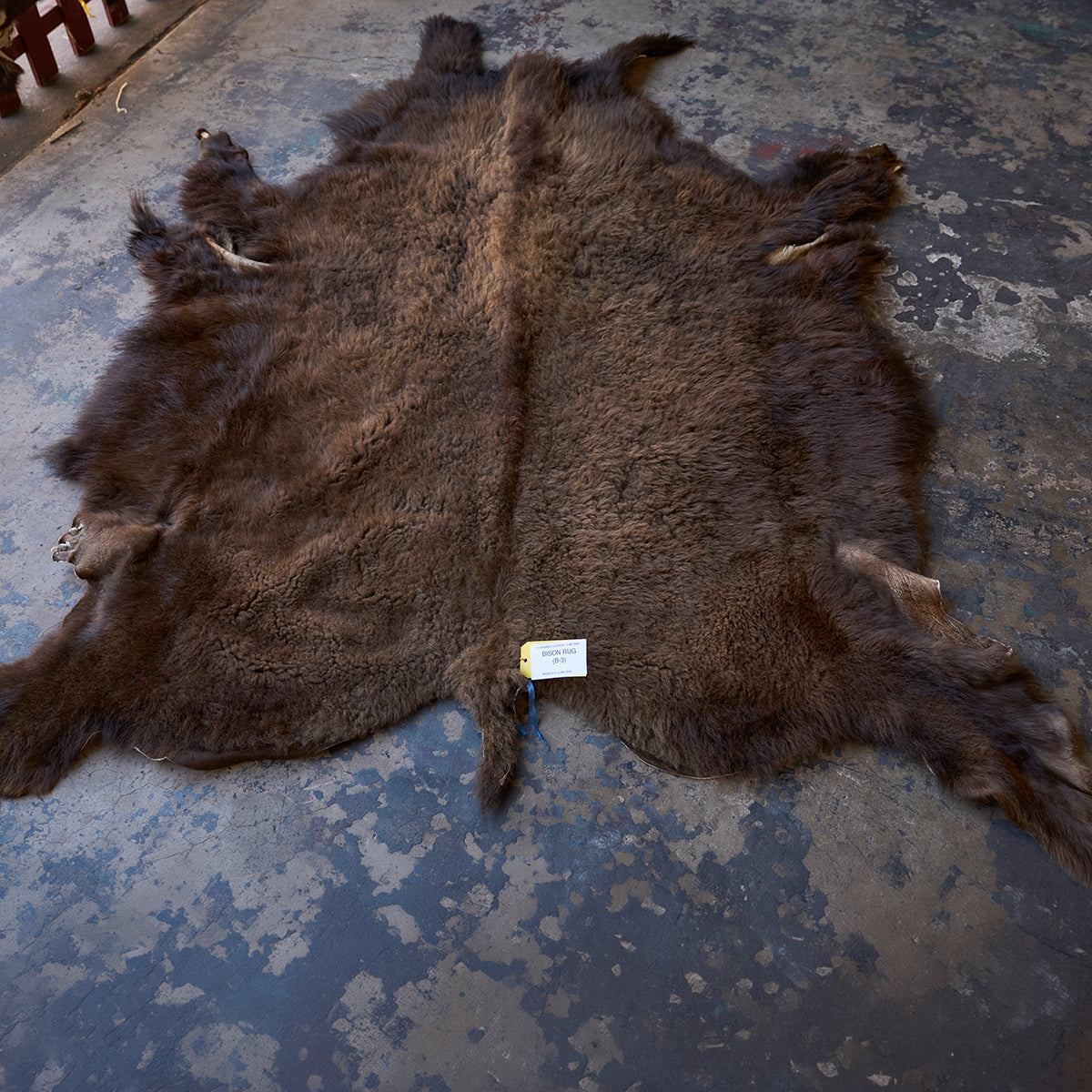 American Bison Rug | Grade-A