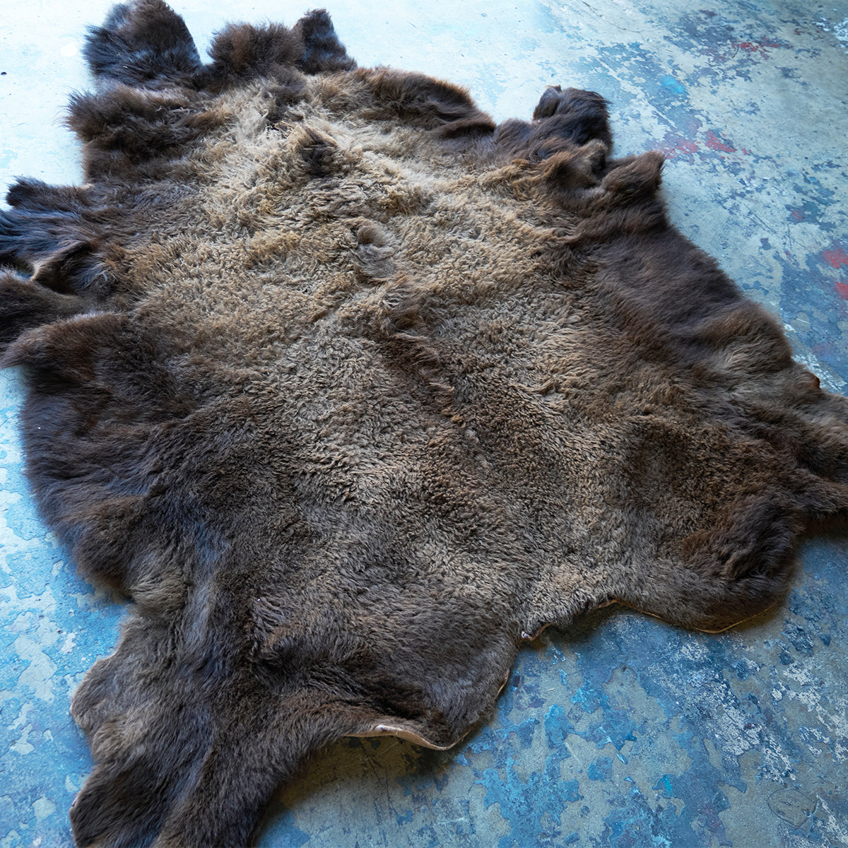 American Bison Rug | Winter Coat