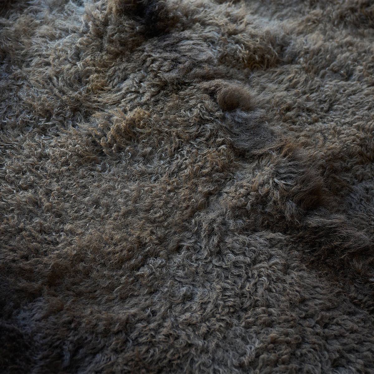 American Bison Rug | Winter Coat