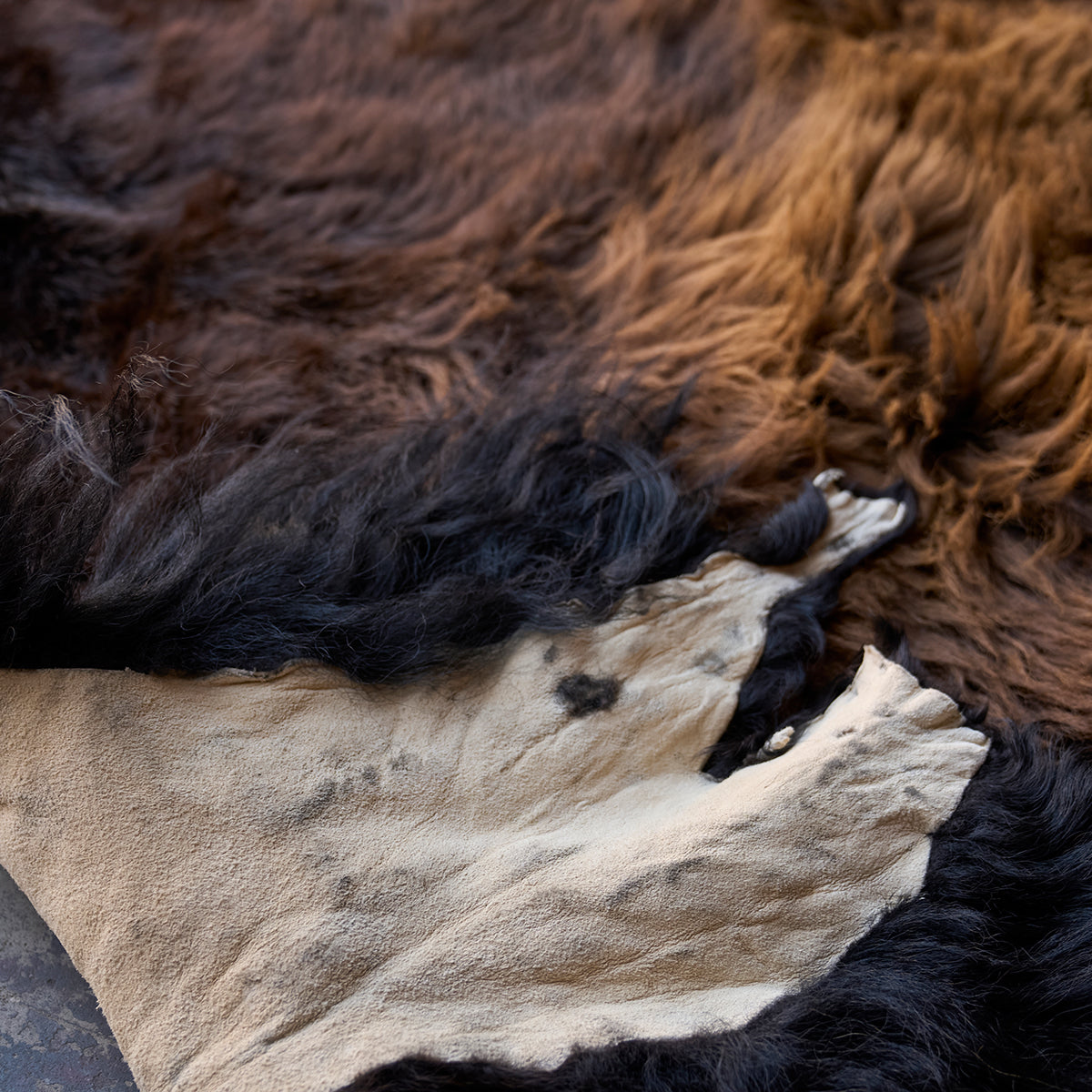 American Bison Rug | Grade-A Han