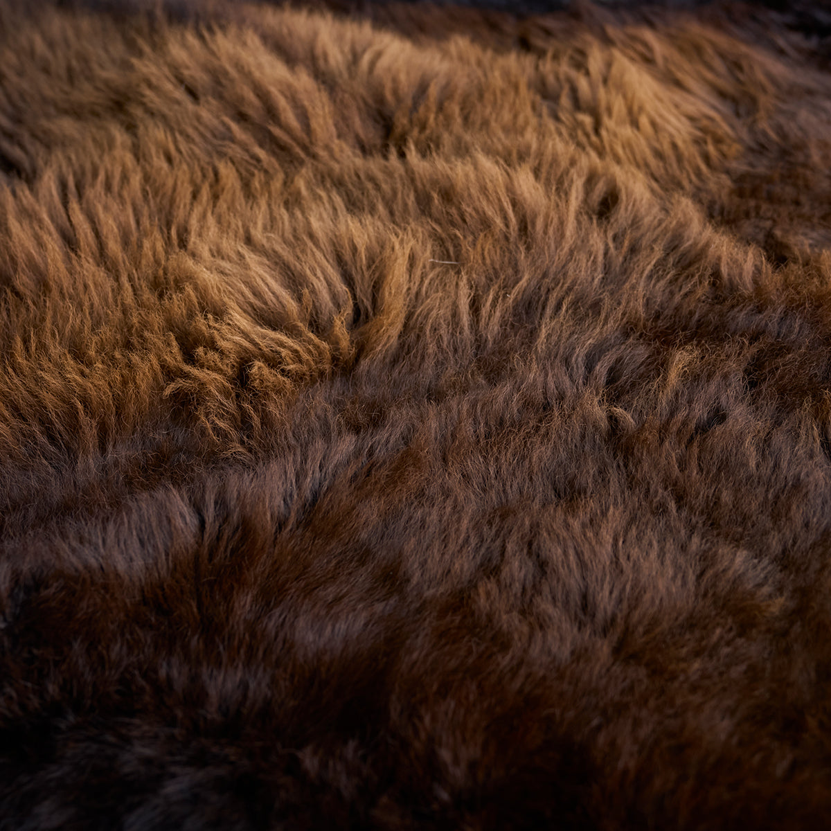 American Bison Rug | Grade-A Han