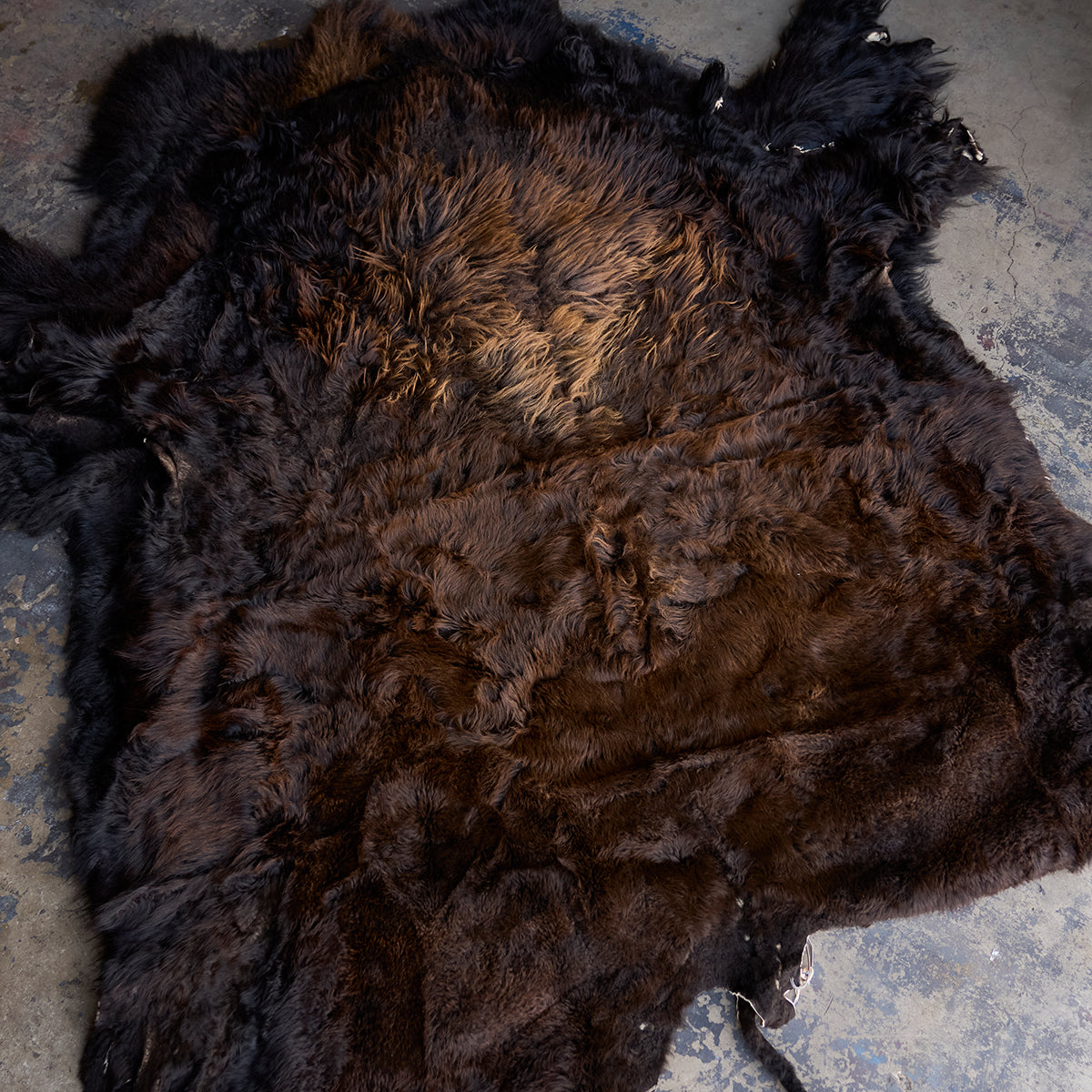 American Bison Rug | Grade-A Han