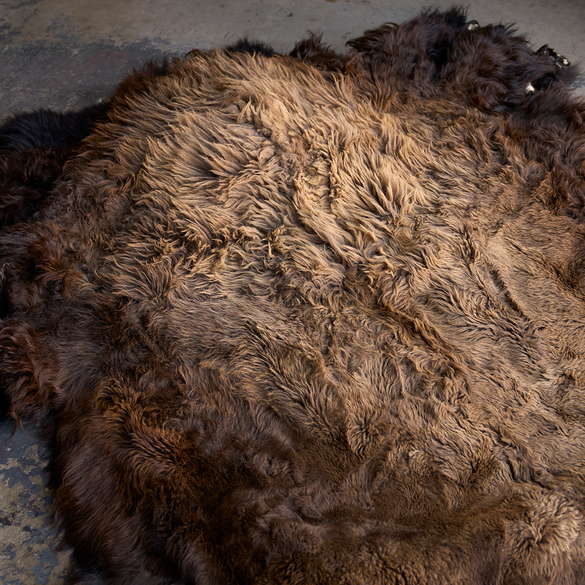 American Bison Rug | Grade-A Han