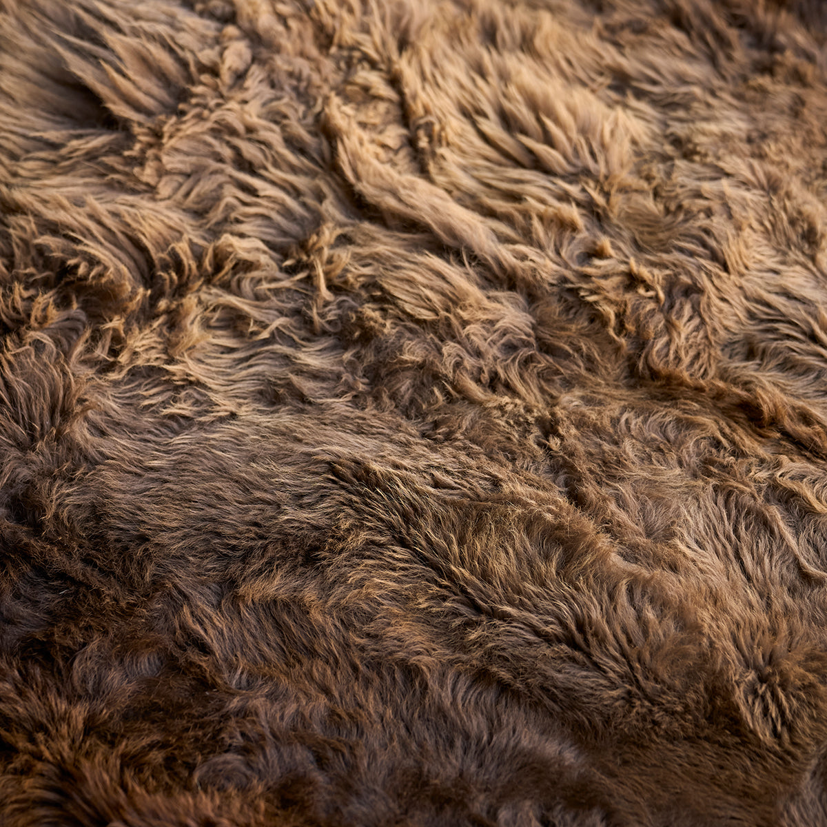 American Bison Rug | Grade-A Han