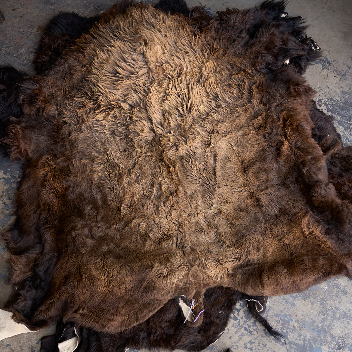 American Bison Rug | Grade-A Han